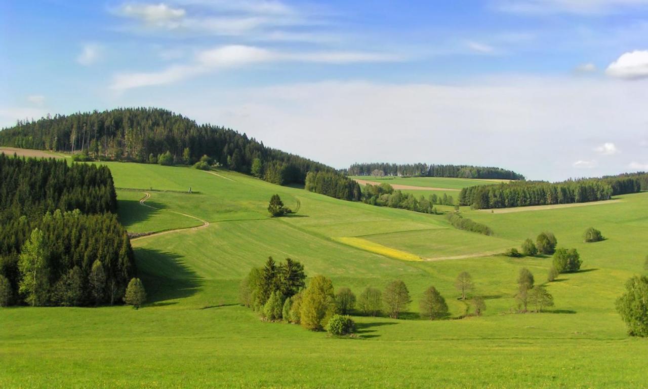 Hotel Brunnwald Bad Leonfelden Kültér fotó