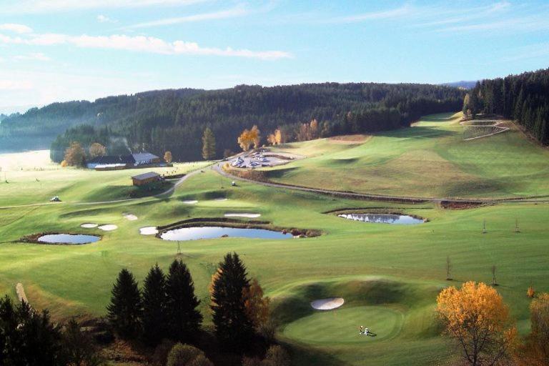 Hotel Brunnwald Bad Leonfelden Kültér fotó